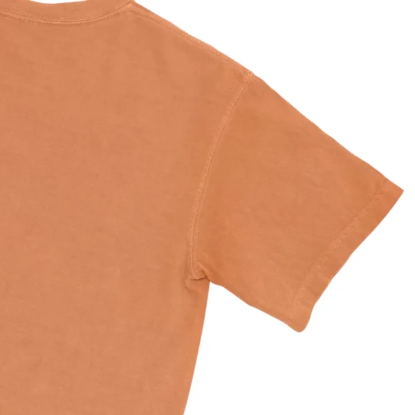 End Your Happy Place Camp Out Unisex Comfort Colors T-shirts