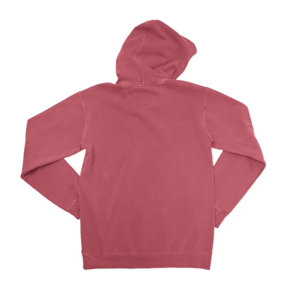 Camping Where You Spend A Small Fortune Unisex Comfort Colors Hooded Sweatshirt