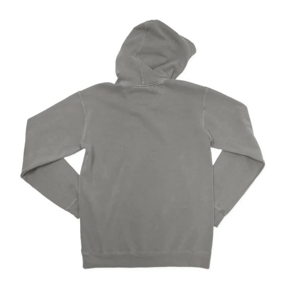 Cutest Little Camper Unisex Comfort Colors Hooded Sweatshirt