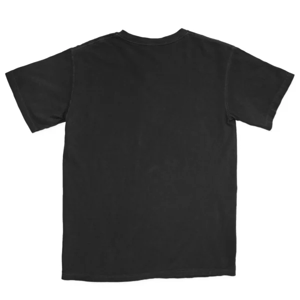 Camping Where You Spend A Small Fortune Unisex Comfort Colors T-shirts - Black