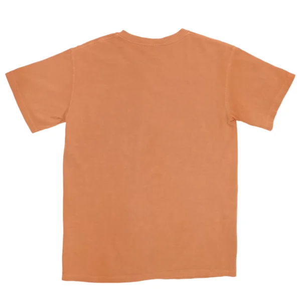 End Your Happy Place Camp Out Unisex Comfort Colors T-shirts